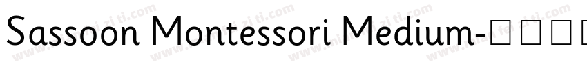Sassoon Montessori Medium字体转换